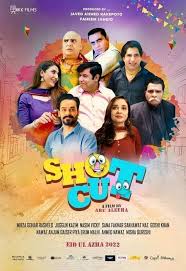 Shotcut (2022)